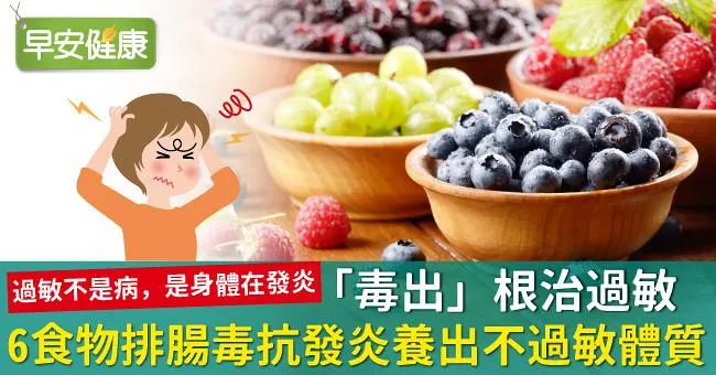 「毒出」根治過敏！6食物排腸毒抗發炎養出不過敏體質