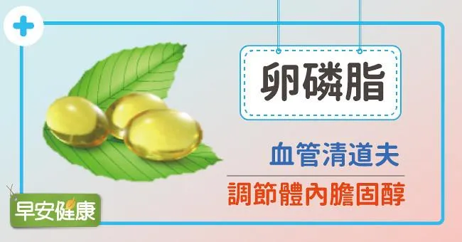 卵磷脂：血管清道夫，調節體內膽固醇！