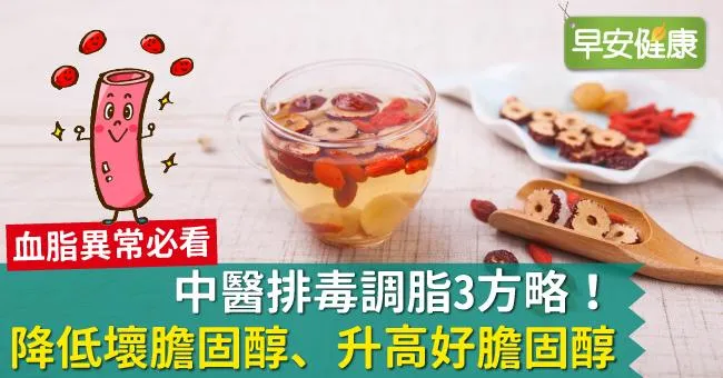 中醫排毒調脂3方略！降低壞膽固醇、升高好膽固醇！