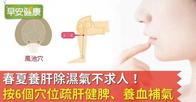 春夏養肝除濕氣不求人！按6個穴位疏肝健脾、養血補氣