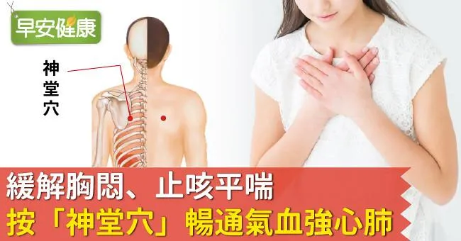 緩解胸悶、止咳平喘，按「神堂穴」暢通氣血強心肺！