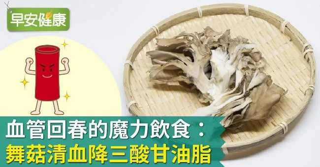 血管回春的魔力飲食：舞菇清血降三酸甘油脂