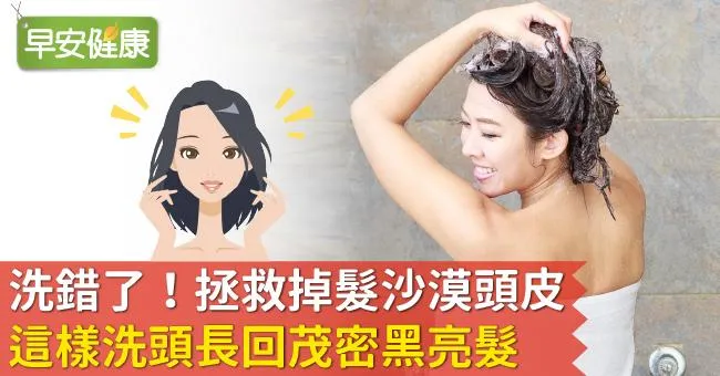洗錯了！拯救掉髮沙漠頭皮，這樣洗頭長回茂密黑亮髮
