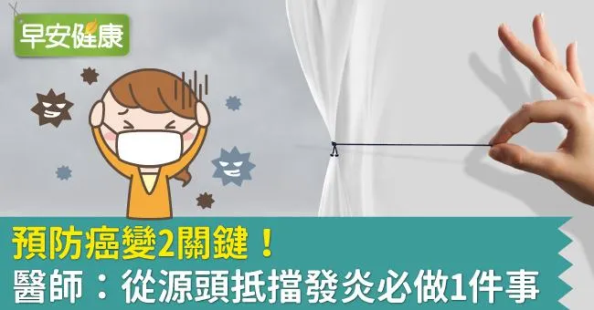 預防癌變2關鍵！專科醫師：從源頭抵擋發炎必做1件事