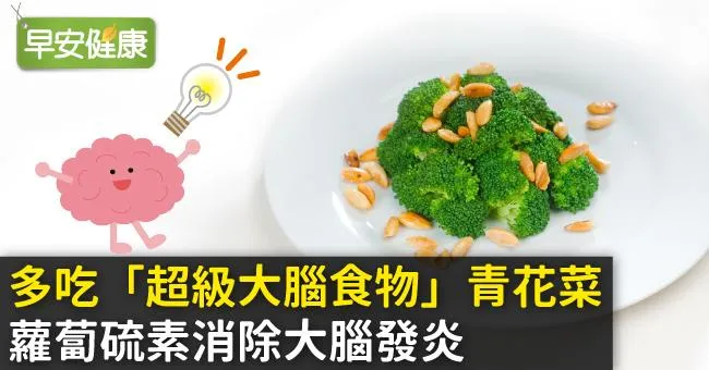 多吃「超級大腦食物」青花菜，蘿蔔硫素消除大腦發炎
