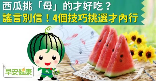 西瓜挑「母」的才好吃？謠言別信！4個技巧挑選才內行