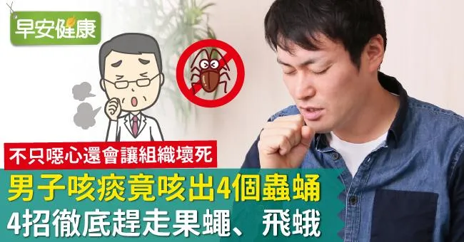 男子咳痰竟咳出4個蟲蛹！ 4招徹底趕走果蠅、飛蛾