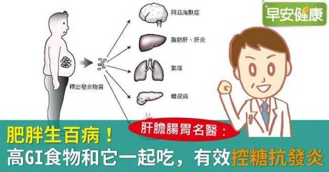 肥胖生百病！高GI食物和它一起吃，有效控糖抗發炎
