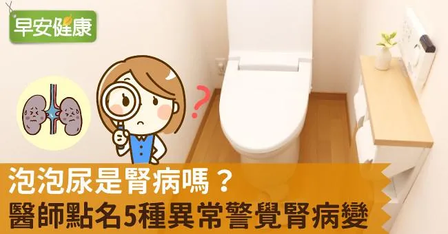 泡泡尿是腎病嗎？醫師點名5種異常警覺腎病變！