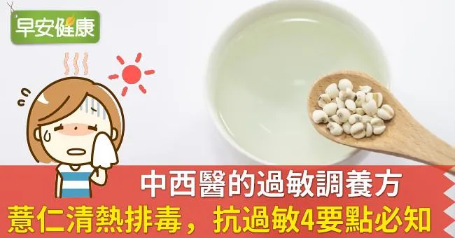 中西醫的過敏調養方：薏仁清熱排毒，抗過敏4要點必知