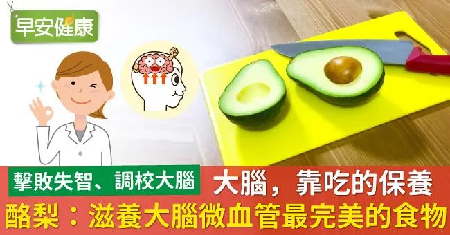 大腦，靠吃的保養！酪梨：滋養大腦微血管最完美的食物