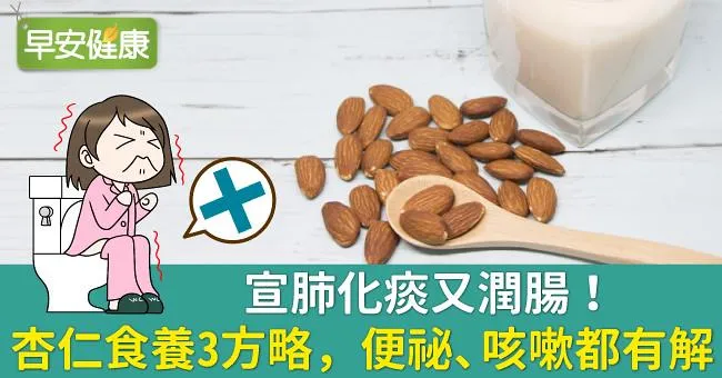 宣肺化痰又潤腸！杏仁食養3方略，便祕、咳嗽都有解