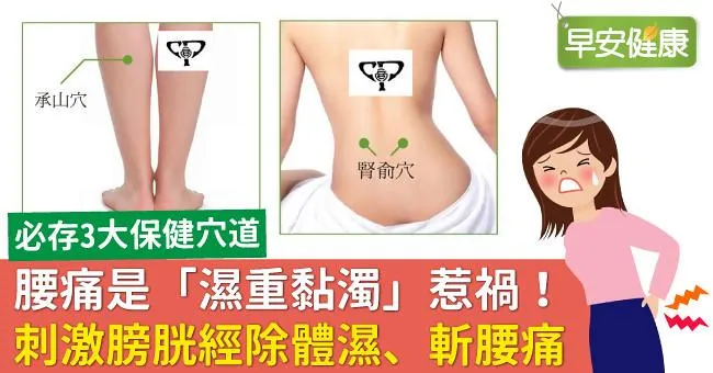 腰痛是「濕重黏濁」惹禍！刺激膀胱經除體濕、斬腰痛