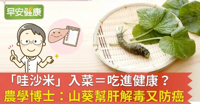 「哇沙米」入菜＝吃進健康？農學博士：山葵幫肝解毒又防癌