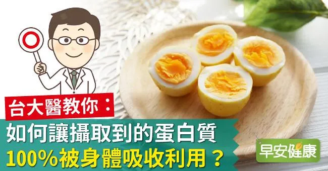 台大醫教你：如何讓攝取到的蛋白質，100％被身體吸收利用？