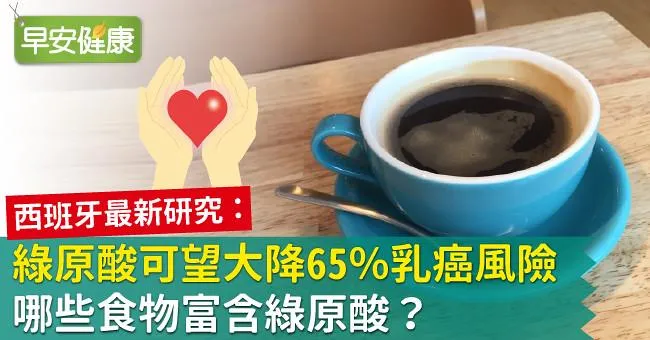 綠原酸可望大降65％乳癌風險！哪些食物富含綠原酸？
