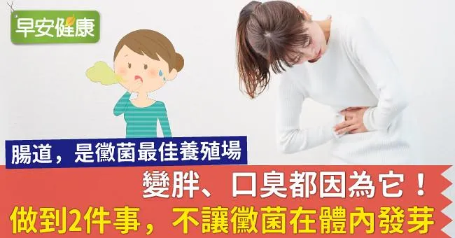 變胖、口臭都因為它！做到2件事，不讓黴菌在體內「發芽」