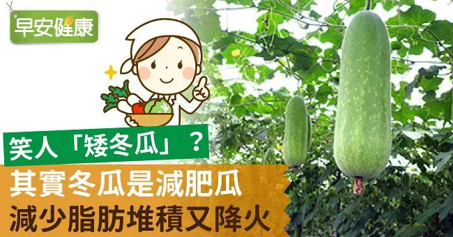 笑人「矮冬瓜」？其實冬瓜是減肥瓜，減少脂肪堆積又降火