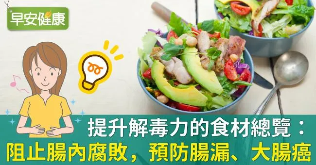提升解毒力的食材總覽：阻止腸內腐敗，預防腸漏、大腸癌