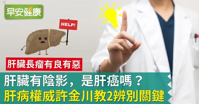 肝臟有陰影，是肝癌嗎？肝病權威許金川教2辨別關鍵