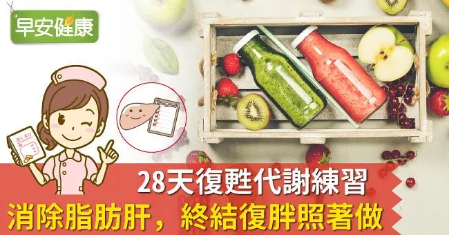 28天復甦代謝練習：消除脂肪肝，終結復胖照著做！