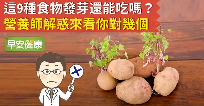 這9種食物發芽還能吃嗎？營養師解惑來看你對幾個