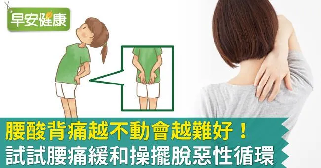 腰酸背痛越不動會越難好！試試腰痛緩和操擺脫惡性循環