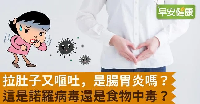 拉肚子又嘔吐，是腸胃炎嗎？這是諾羅病毒還是食物中毒？