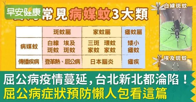 屈公病疫情蔓延，台北新北都淪陷！屈公病症狀預防懶人包看這篇