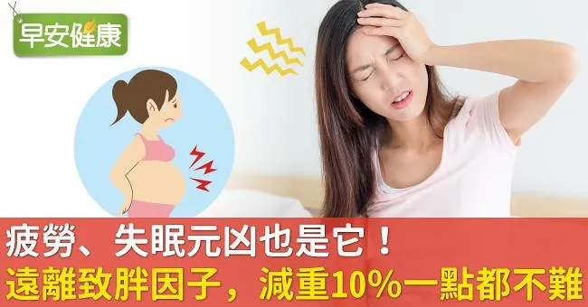 疲勞、失眠元凶也是它！遠離致胖因子，減重10％一點都不難