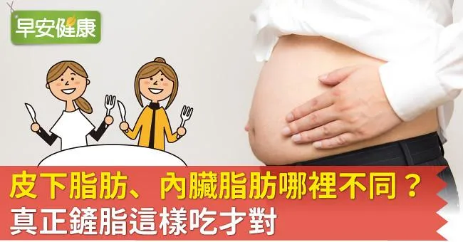 皮下脂肪、內臟脂肪哪裡不同？真正鏟脂這樣吃才對