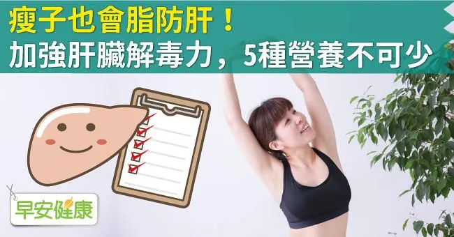 瘦子也會脂防肝！加強肝臟解毒力，5種營養不可少