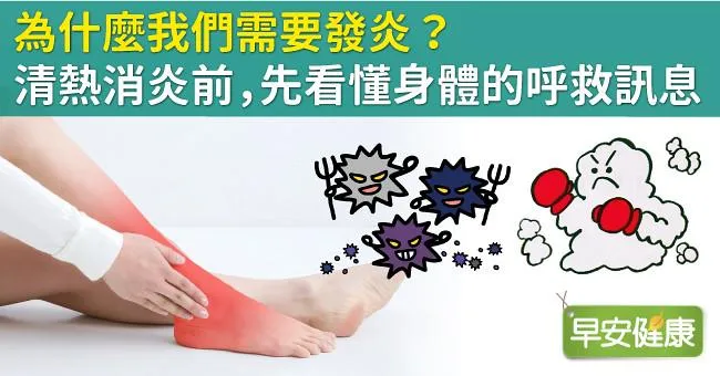 為什麼我們需要發炎？清熱消炎前，先看懂身體的呼救訊息