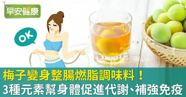 梅子變身整腸燃脂調味料！3種元素幫身體促進代謝、補強免疫
