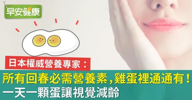 所有回春必需營養素，雞蛋裡通通有！一天一顆蛋讓視覺減齡