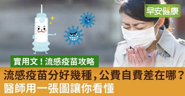 流感疫苗分好幾種，公費自費差在哪？醫師用一張圖讓你看懂