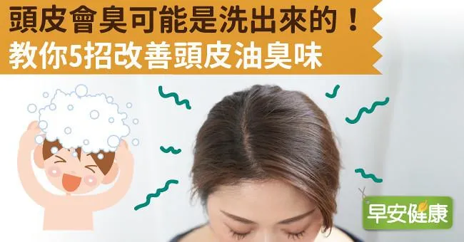 頭皮會臭可能是洗出來的！教你5招改善頭皮油臭味