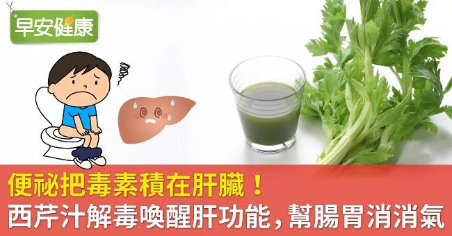 便祕把毒素積在肝臟！西芹汁解毒喚醒肝功能，幫腸胃消消氣