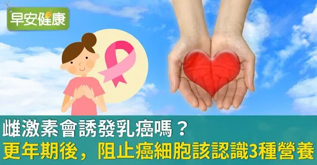 雌激素會誘發乳癌嗎？更年期後，阻止癌細胞該認識3種營養