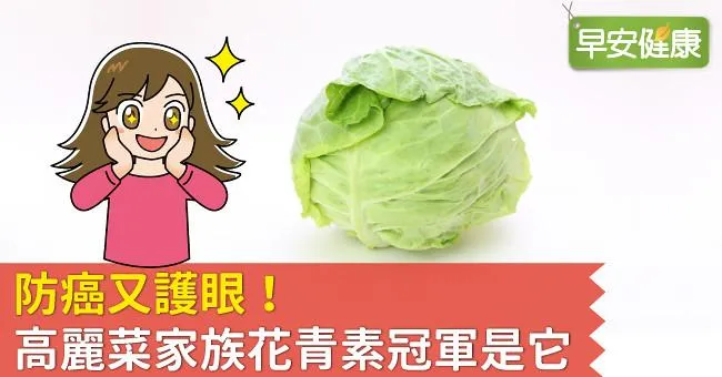 防癌又護眼！高麗菜家族花青素冠軍是它