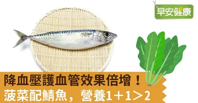 降血壓護血管效果倍增！菠菜配鯖魚，營養1＋1＞2