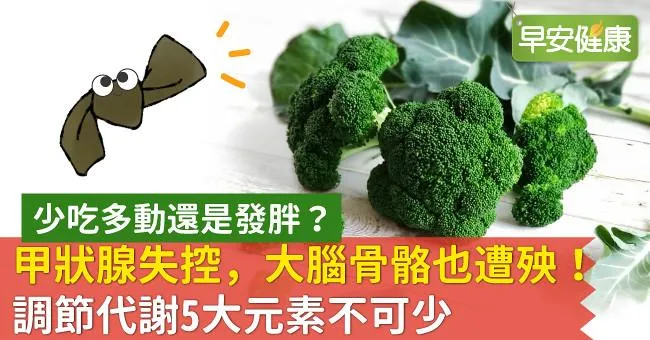 甲狀腺失控，大腦骨骼也遭殃！調節代謝5大元素不可少