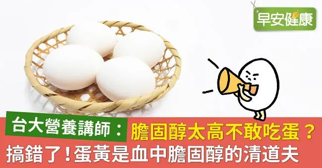 膽固醇太高不敢吃蛋？搞錯了！蛋黃是血中膽固醇的清道夫