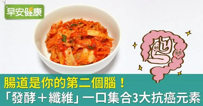 腸道是你的第二個腦！「發酵＋纖維」一口集合3大抗癌元素