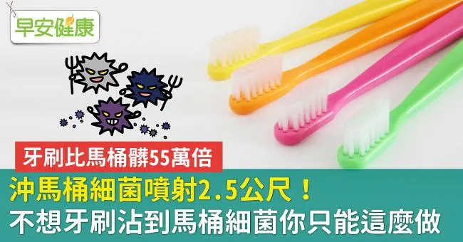 沖馬桶細菌噴射2.5公尺！不想牙刷沾到馬桶細菌你只能這麼做