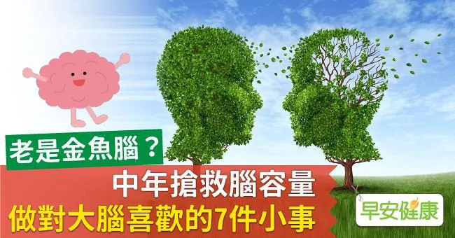 老是金魚腦？中年搶救腦容量，做對大腦喜歡的7件小事