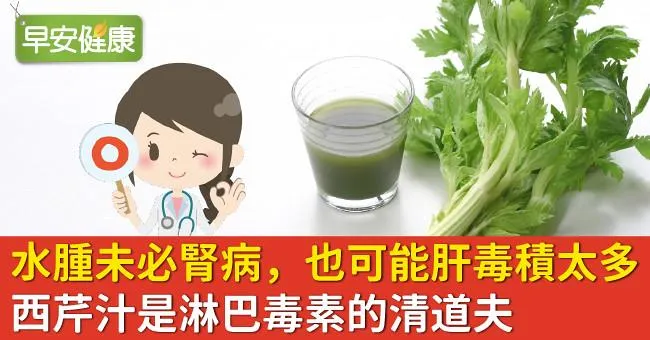 水腫未必腎病，也可能肝毒積太多！西芹汁是淋巴毒素的清道夫