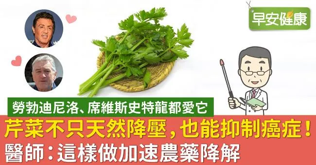 芹菜不只天然降壓，也能抑制癌症！醫師：這樣做加速農藥降解