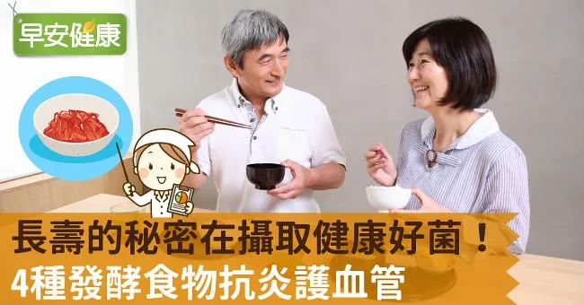 長壽的秘密在攝取健康好菌！4種發酵食物抗炎護血管