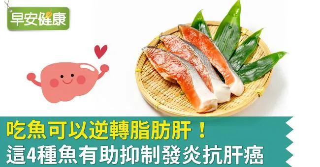 吃魚可以逆轉脂肪肝！這4種魚有助抑制發炎抗肝癌
